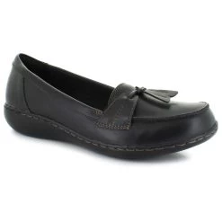 Clarks Ashland Bubble