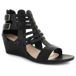 Sophia Taylor Juniper