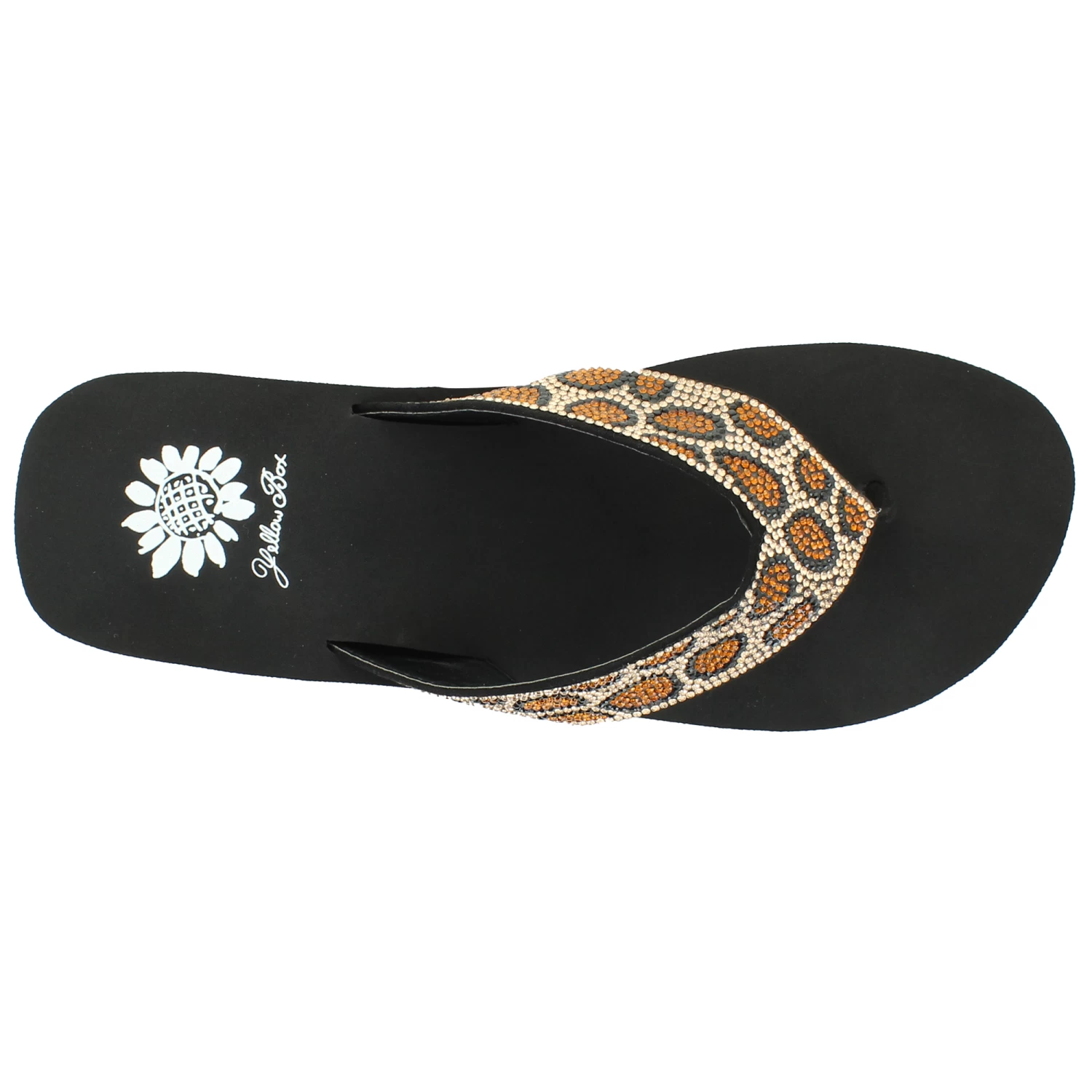 Yellow Box Suzette 5 Yellow Box Suzette - Image 5