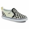 Vans Asher
