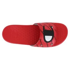 Champion Super Script -Chic Shoe Shop 572338 images 05